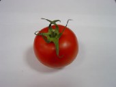 tomate1.jpg