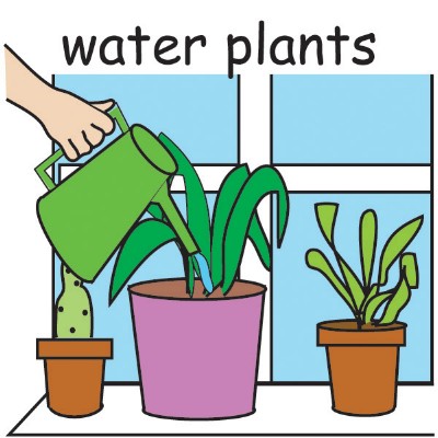 water plants.jpg