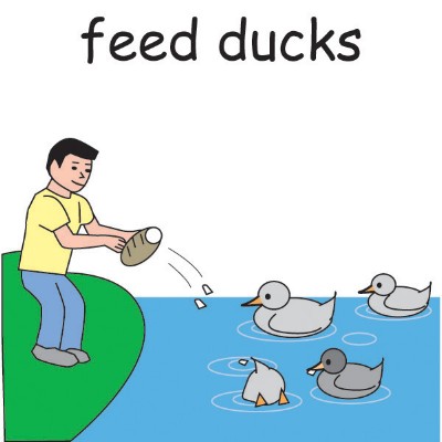 feed ducks.jpg