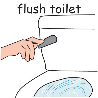 flush toilet.jpg