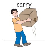 carry.jpg