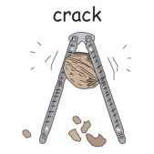 crack (nuts).jpg