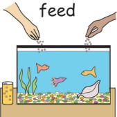 feed fish.jpg