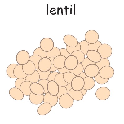lentil.jpg