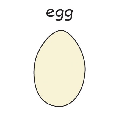 egg4.jpg