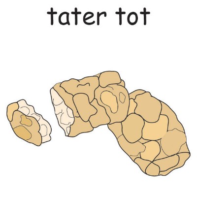 tatertots1.jpg