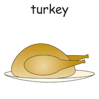 turkey-food.jpg