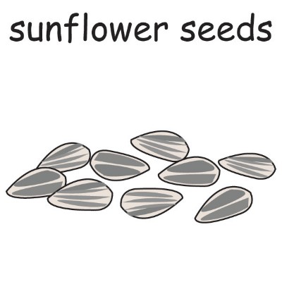 sunflower seeds.jpg