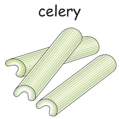 celery 1.jpg