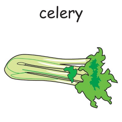 celery 2.jpg