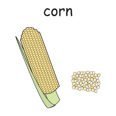 corn 1.jpg
