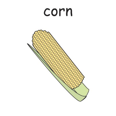 corn 2.jpg