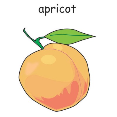 apricot.jpg