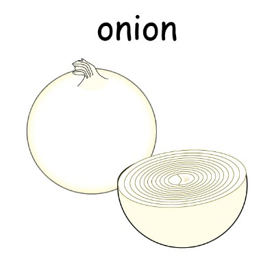 onion 3.jpg