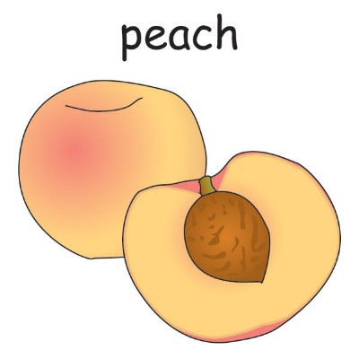 peach 1.jpg