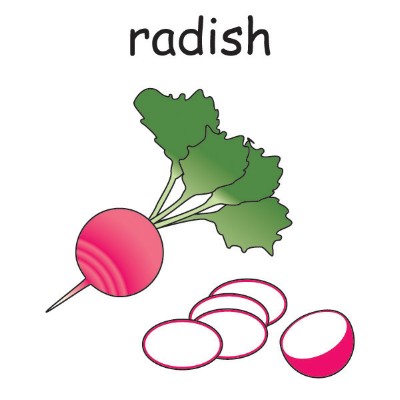 radish 1.jpg