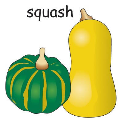squash2.jpg