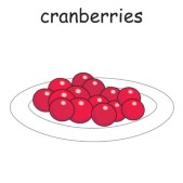 cranberries 2.jpg