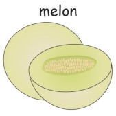 melon2.jpg