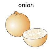 onion 1.jpg