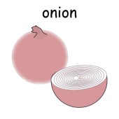 onion 2.jpg