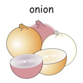 onion 4.jpg