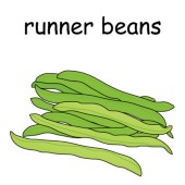 runner beans.jpg