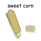 sweet corn 1.jpg