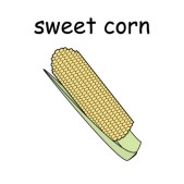 sweet corn 2.jpg