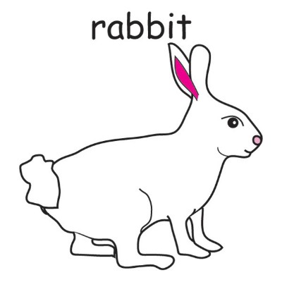 rabbit 2.jpg