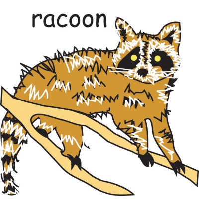 racoon.jpg