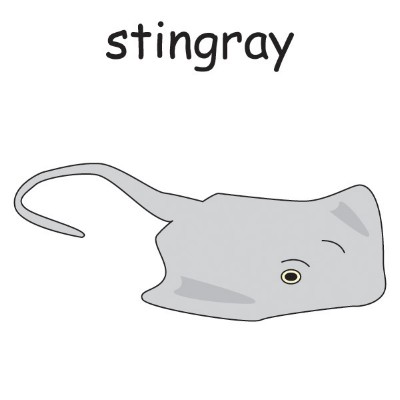 stingray.jpg