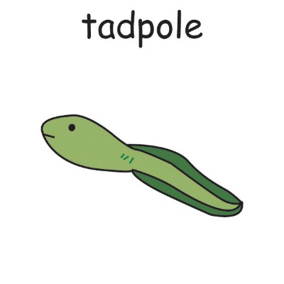 tadpole.jpg