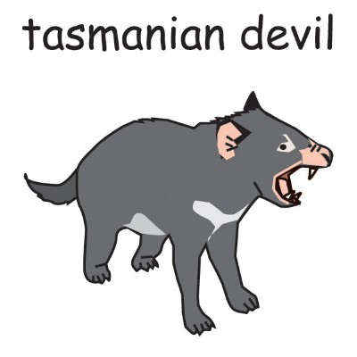 tasmanian devil.jpg