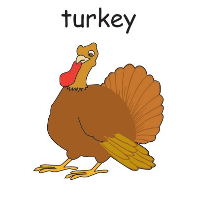 turkey-animal.jpg