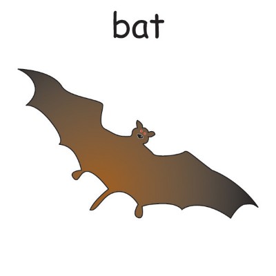 bat.jpg