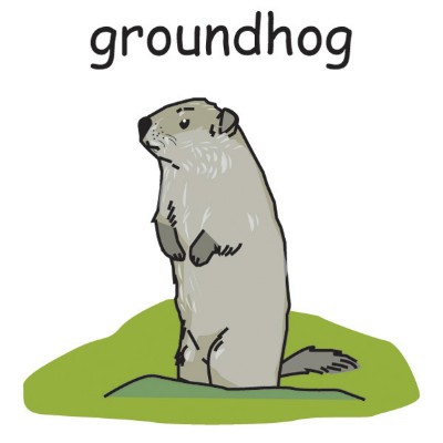 groundhog.jpg