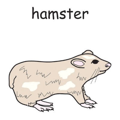 hamster.jpg
