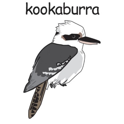 kookaburra.jpg