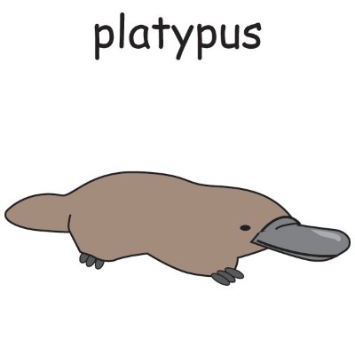platypus.jpg