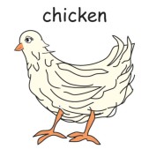 chicken 1.jpg