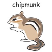 chipmunk.jpg
