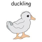 duckling1.jpg