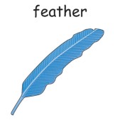 feather.jpg