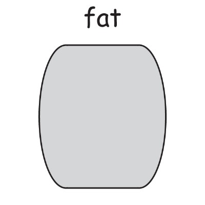 fat.jpg