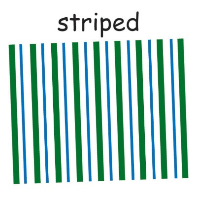 striped.jpg