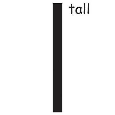 tall.jpg