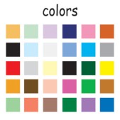 colors 2.jpg