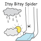 Itsy Bitsy Spider.jpg