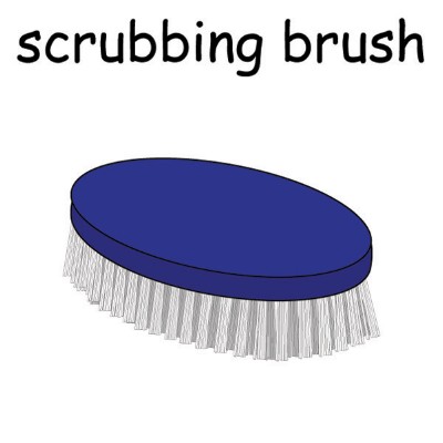 scrubbing brush.jpg